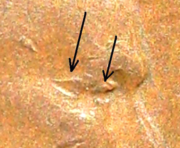 1957-D-Lincoln-Cent-DDO